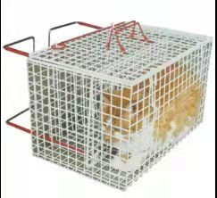 قفس نمایشگر حیوانات خانگی گالوانیزه با پوشش گالوانیزه فلزی 2 میلی متری مش سیم